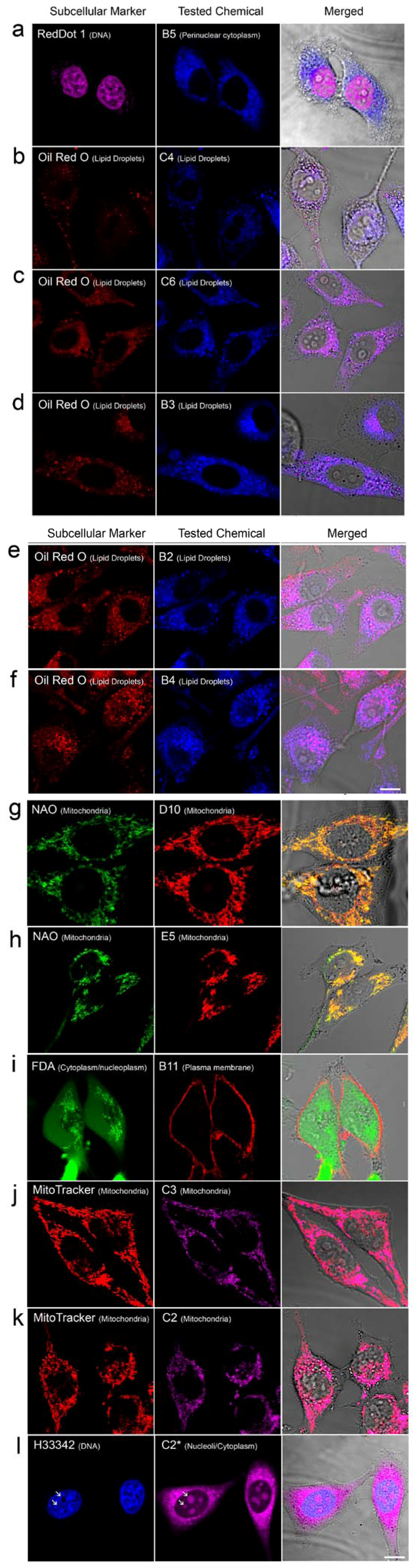 Molecules 18 09999 g003