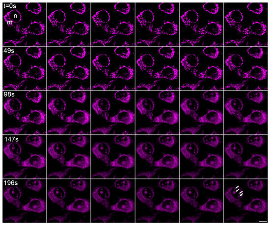Molecules 18 09999 g004 550