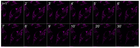 Molecules 18 09999 g005 550