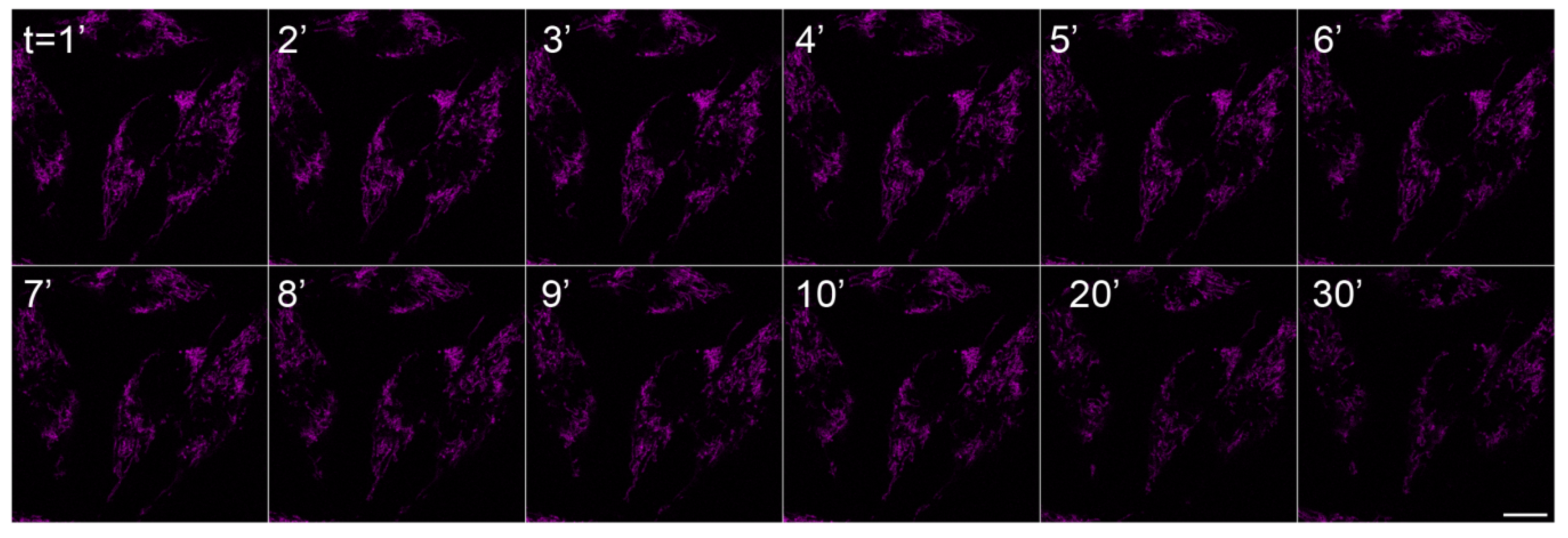 Molecules 18 09999 g005