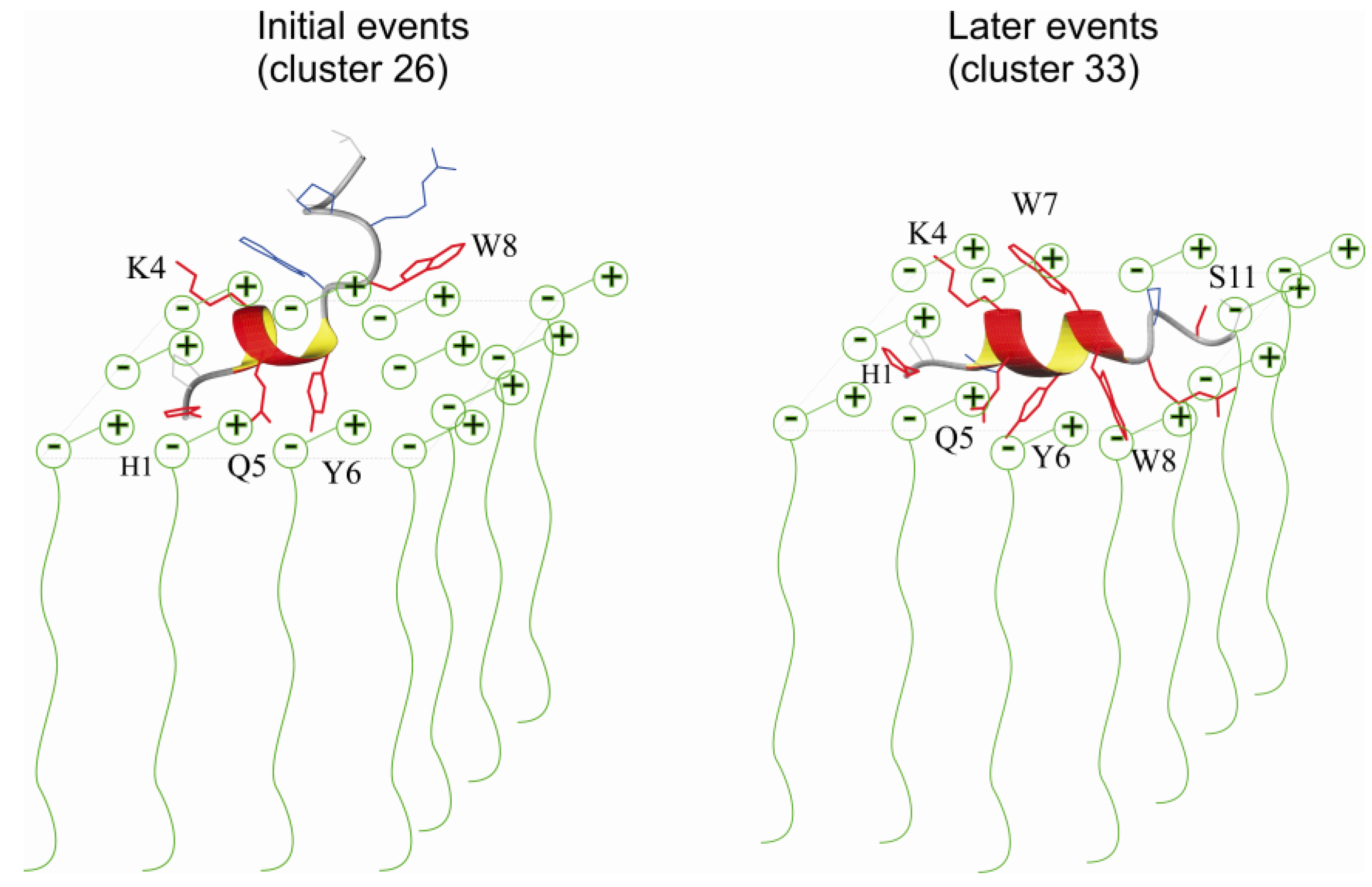 Molecules 18 10056 g008