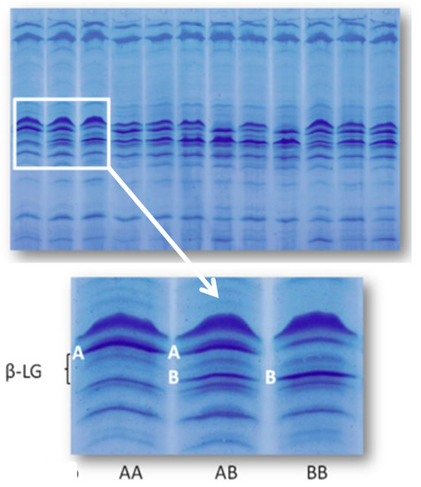 Molecules 18 10122 g002 550