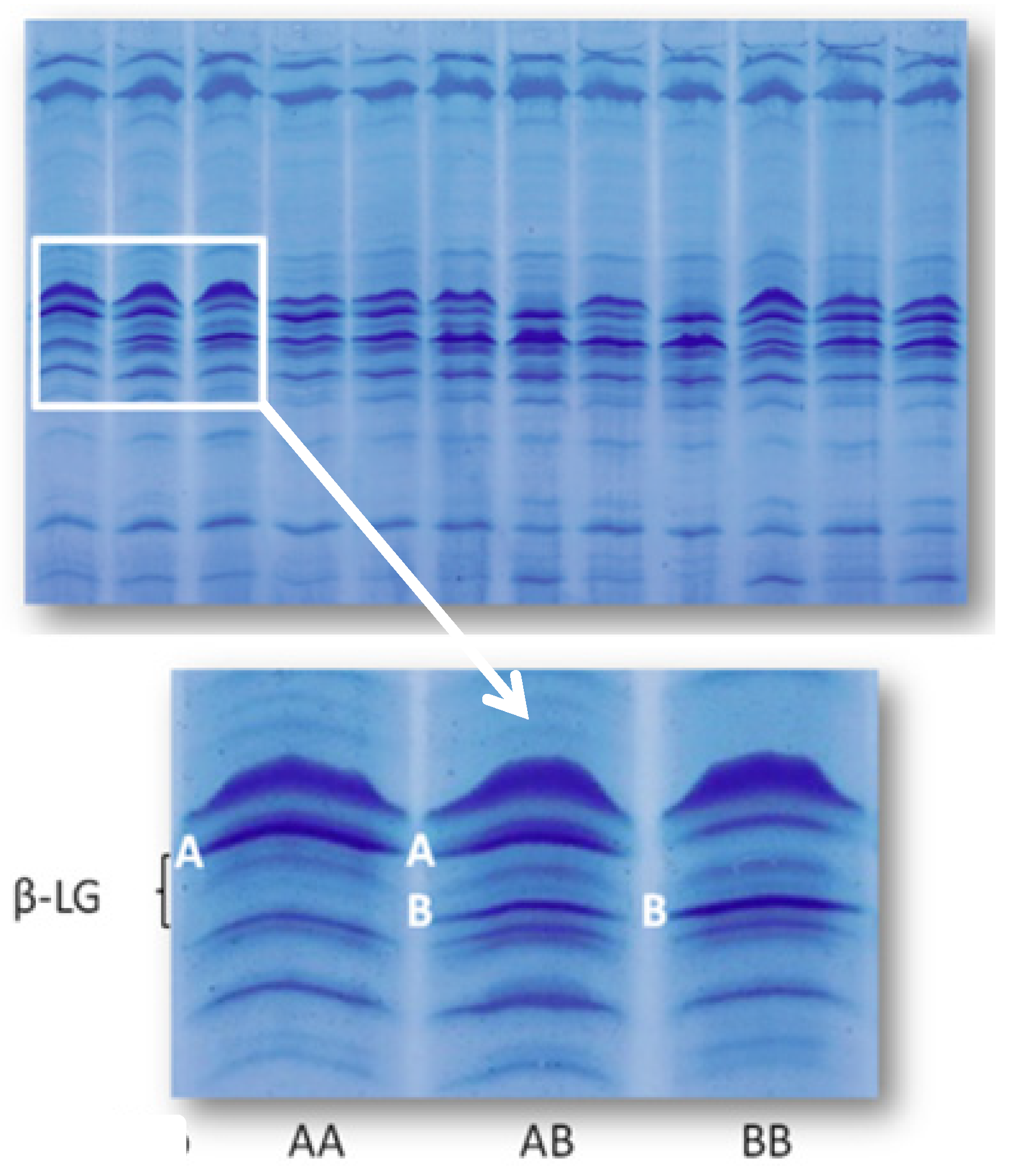 Molecules 18 10122 g002