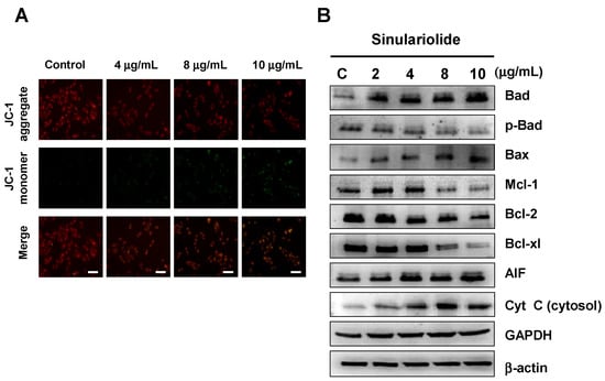 Molecules 18 10146 g004 550