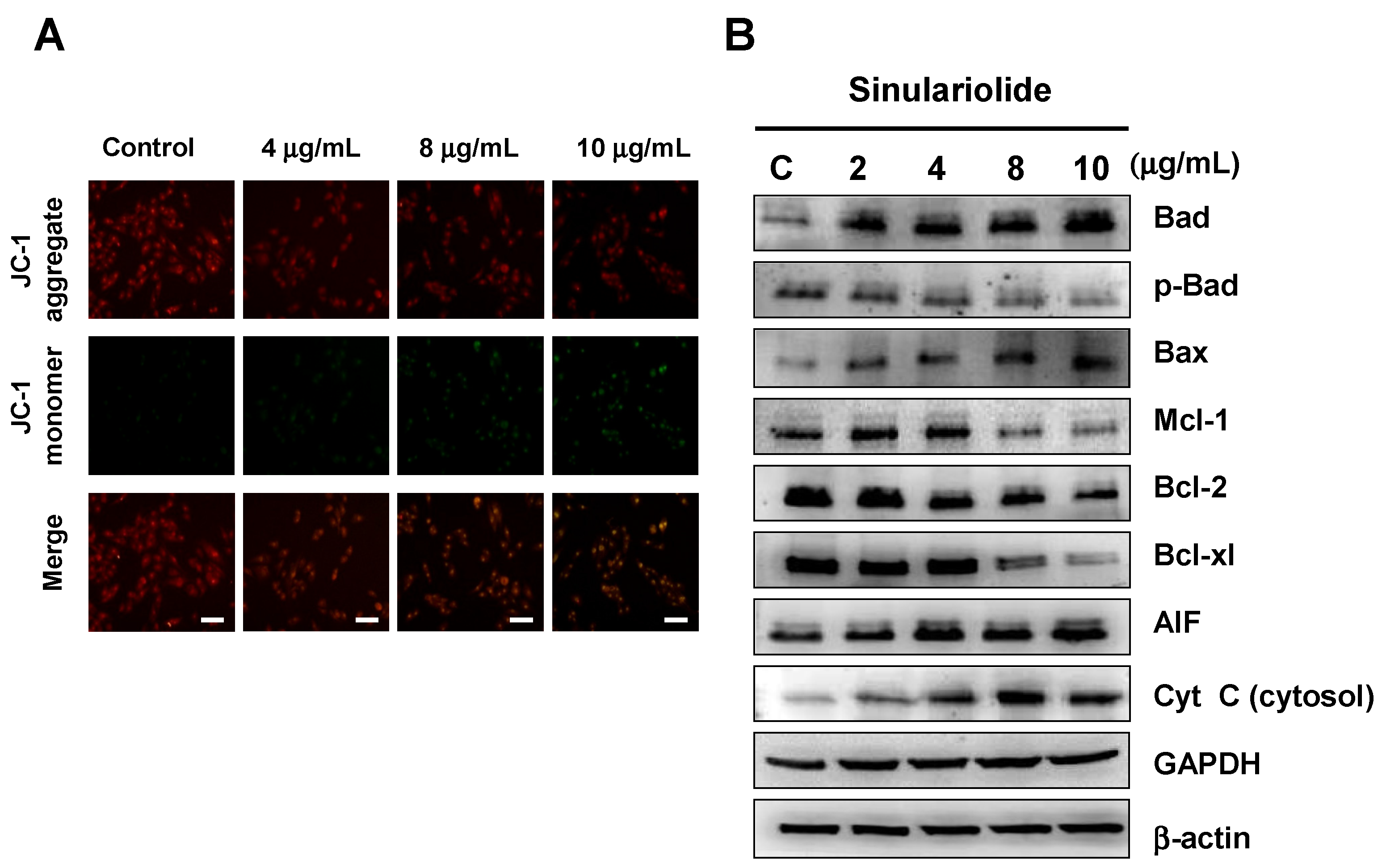 Molecules 18 10146 g004