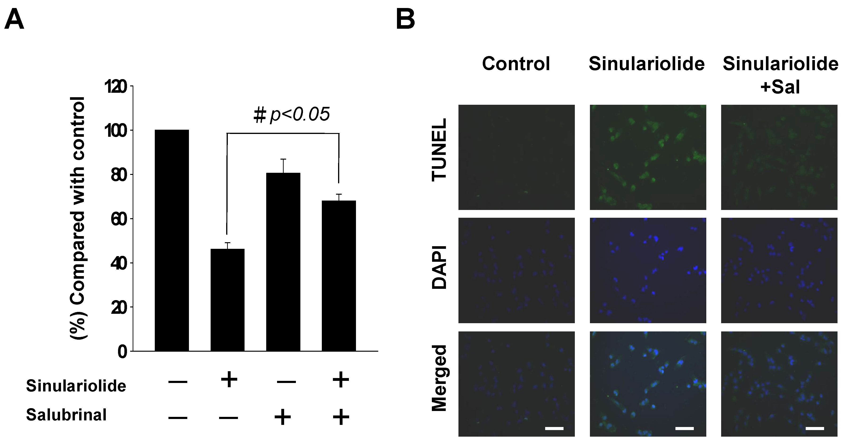 Molecules 18 10146 g006