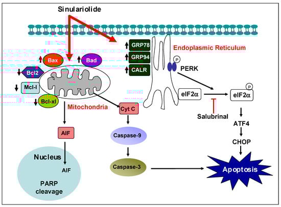 Molecules 18 10146 g007 550