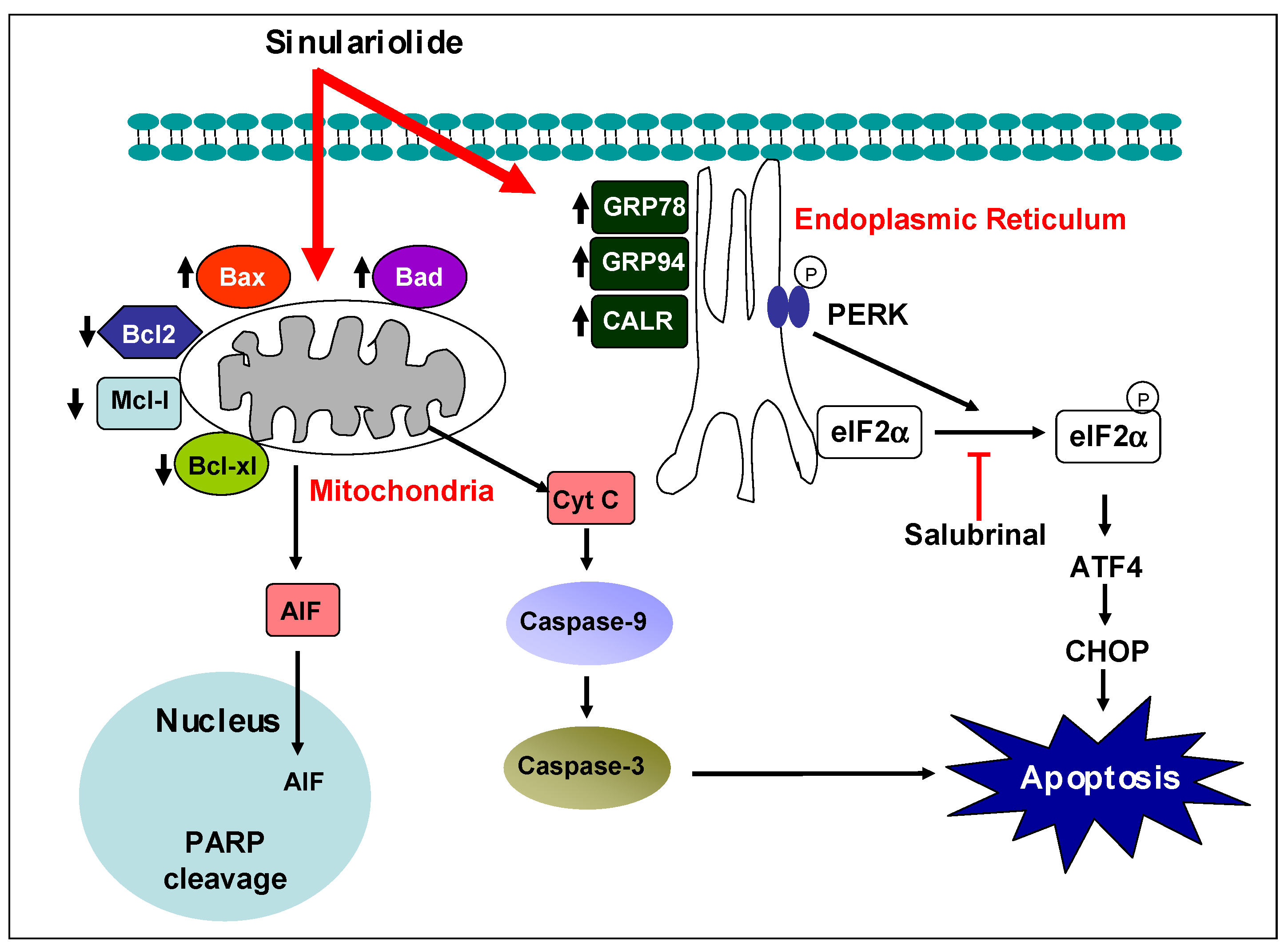 Molecules 18 10146 g007