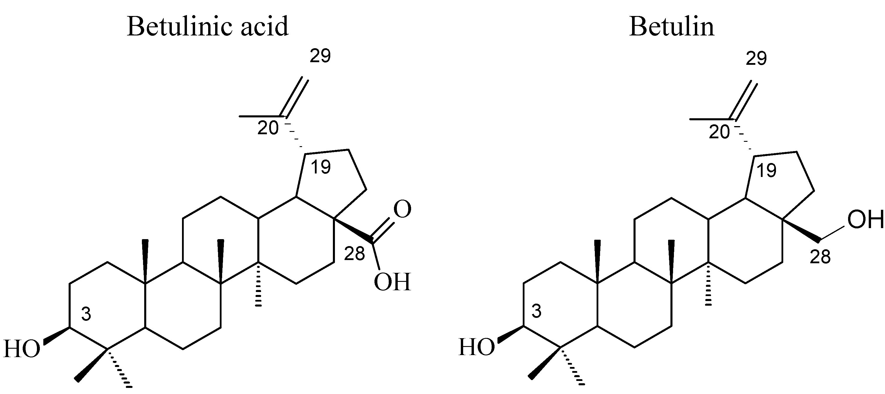 Molecules 18 10228 g001
