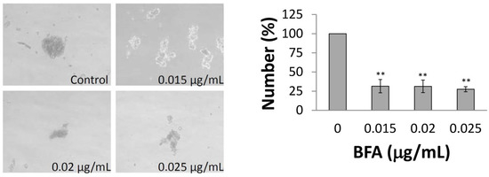 Molecules 18 10242 g002 550