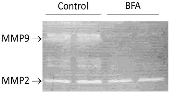 Molecules 18 10242 g006 550