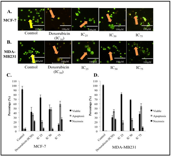 Molecules 18 10367 g002 550