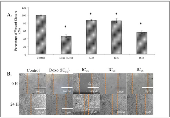Molecules 18 10367 g004 550