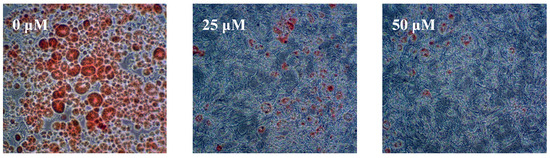 Molecules 18 10484 g003 550