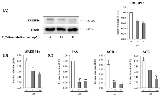 Molecules 18 10484 g006 550