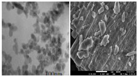 Molecules 18 10580 g001 550