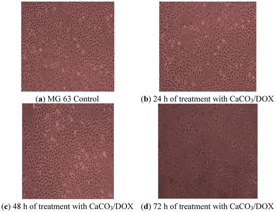 Molecules 18 10580 g009 550