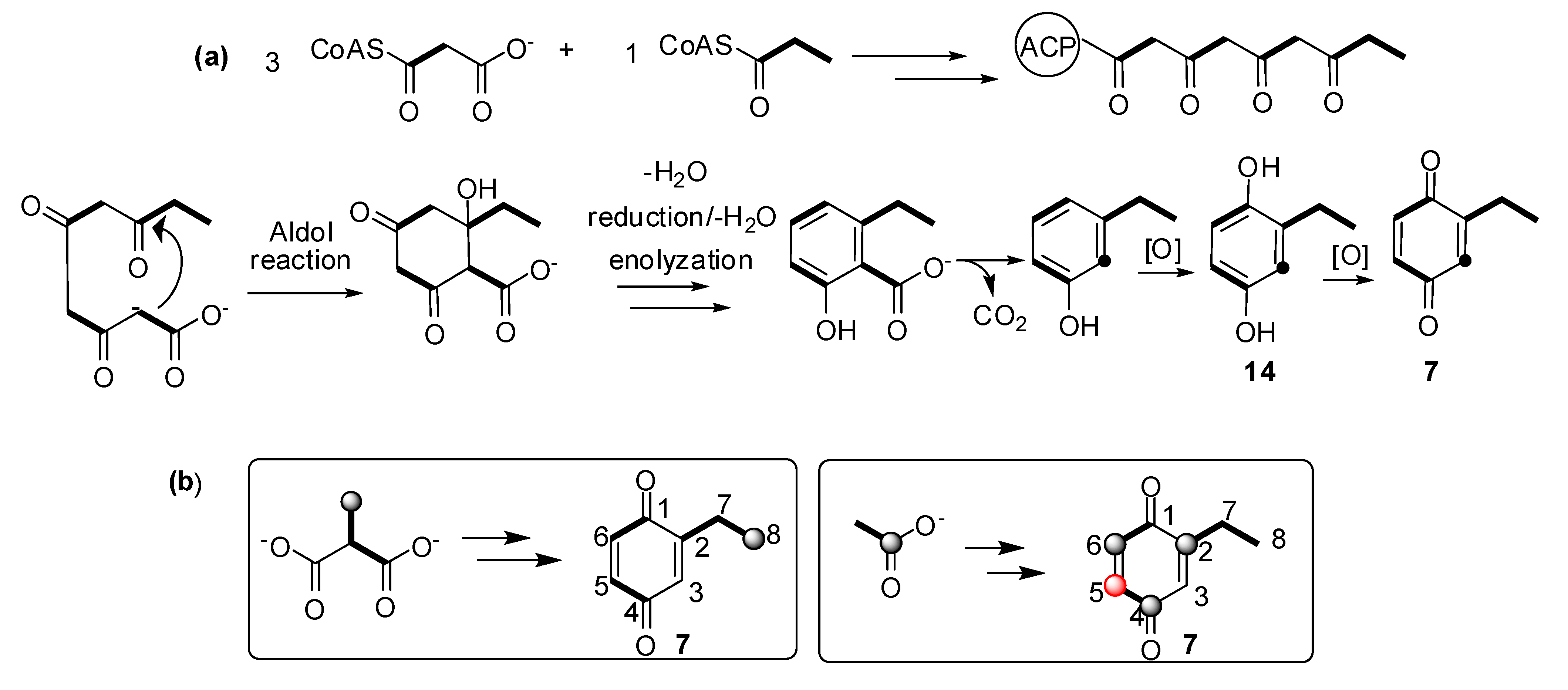 Molecules 18 11429 g008