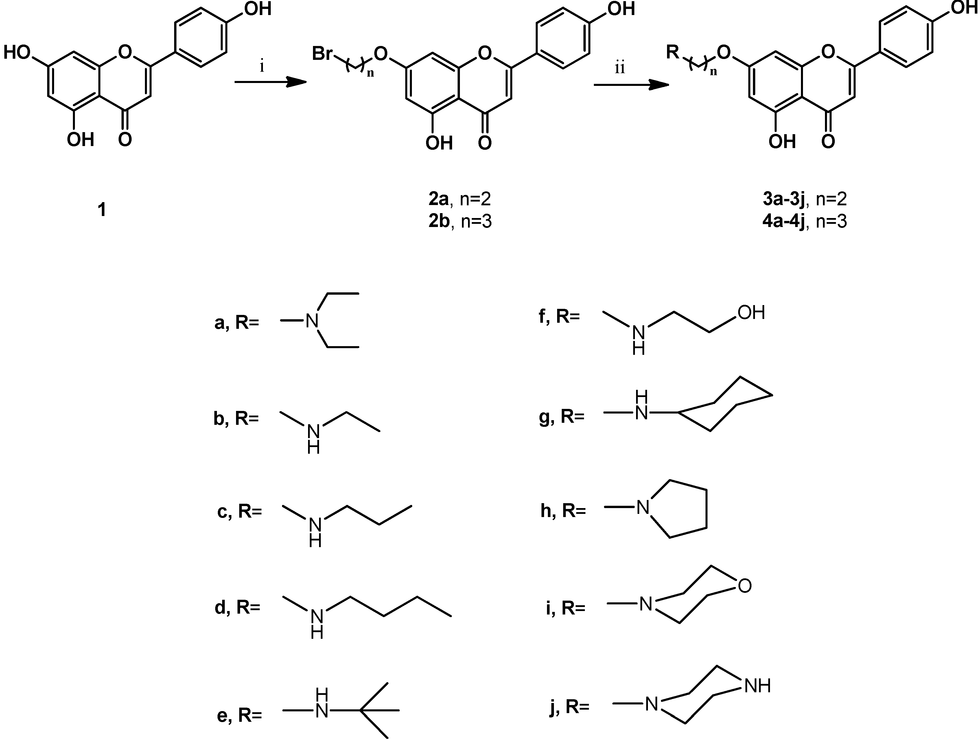 Molecules 18 11496 g001
