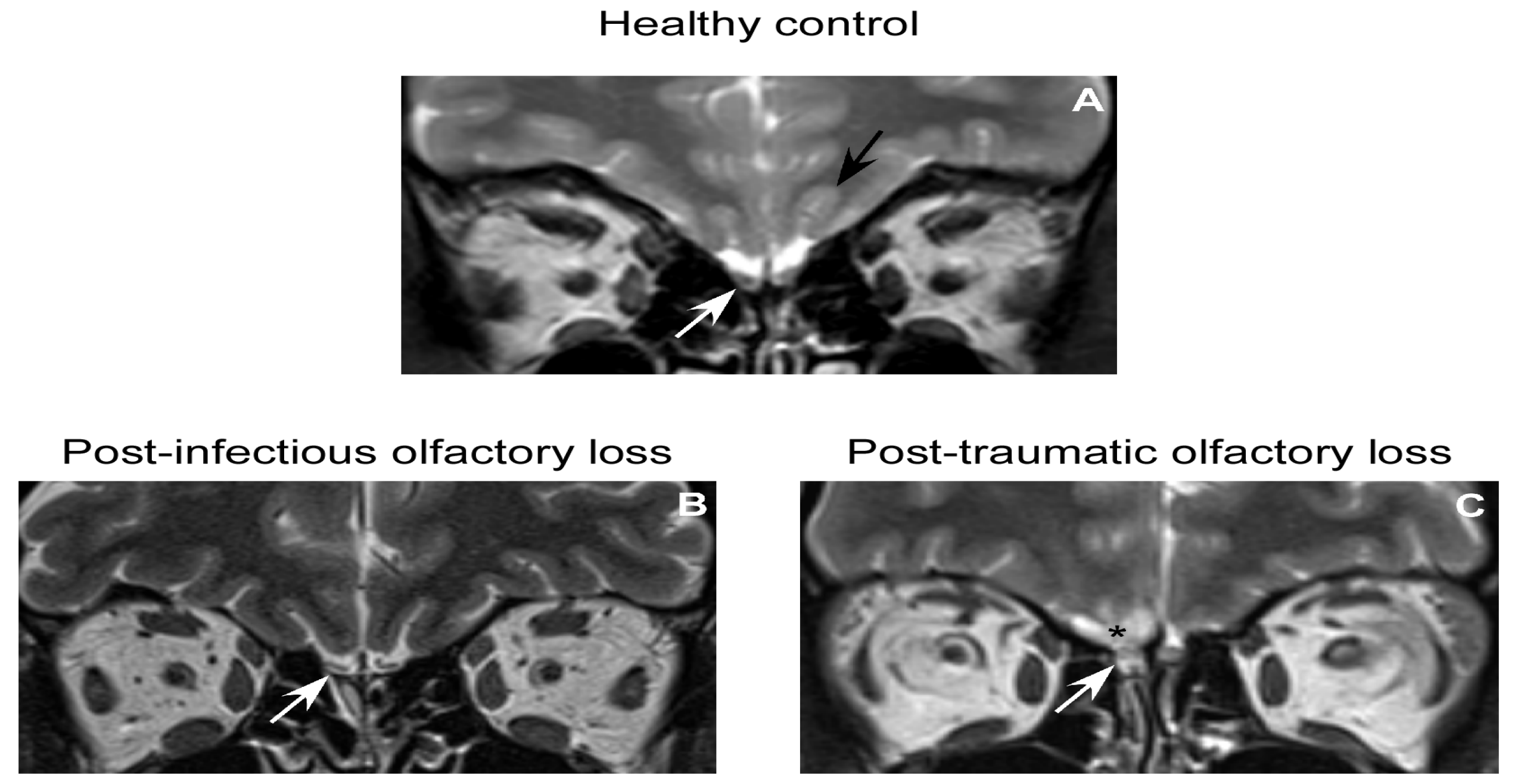 Molecules 18 11586 g001