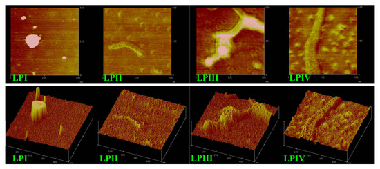 Molecules 18 11601 g005 550