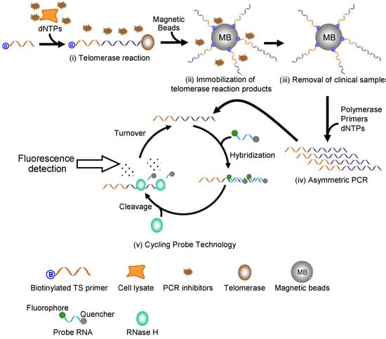 Molecules 18 11751 g001 550