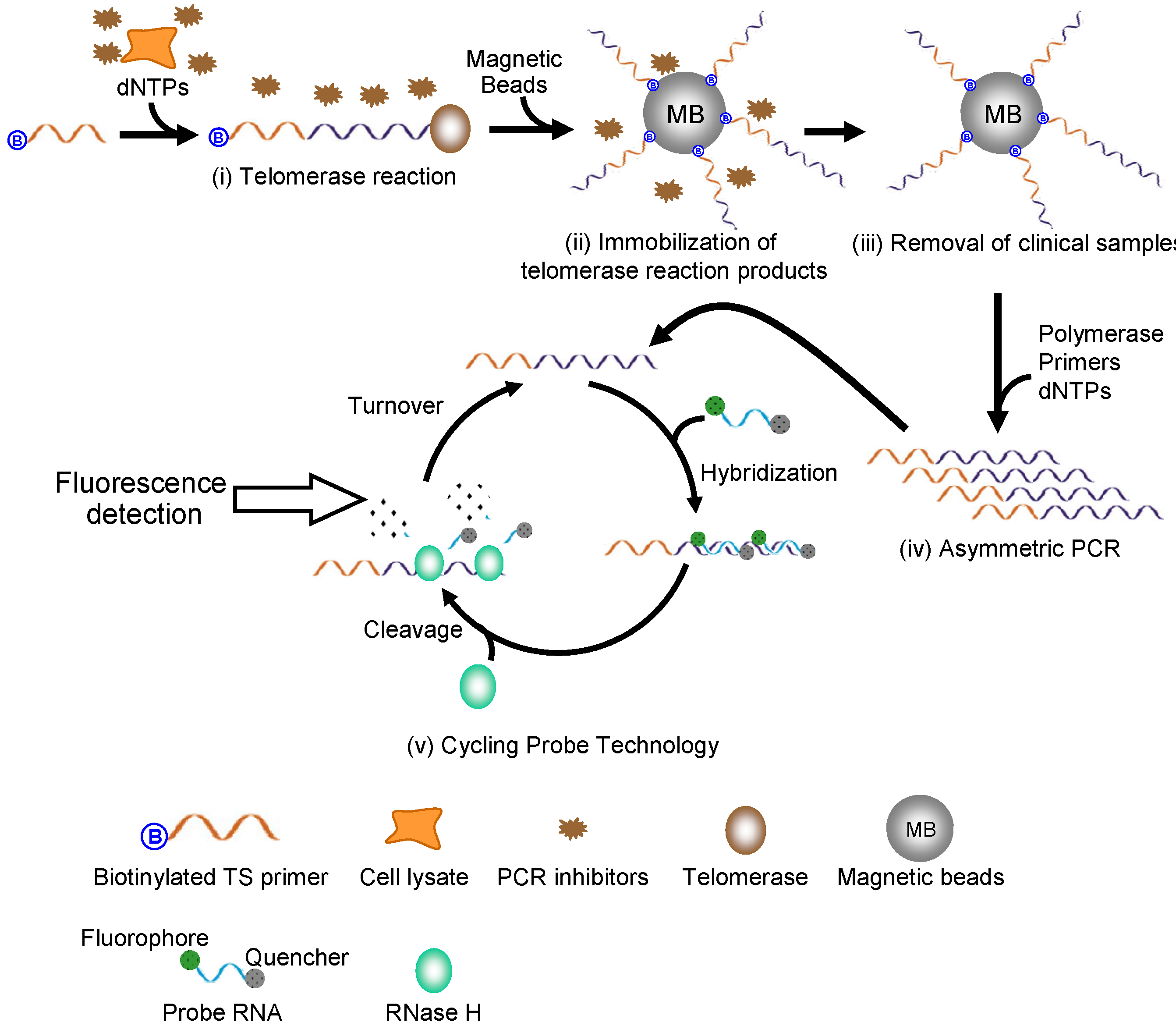 Molecules 18 11751 g001