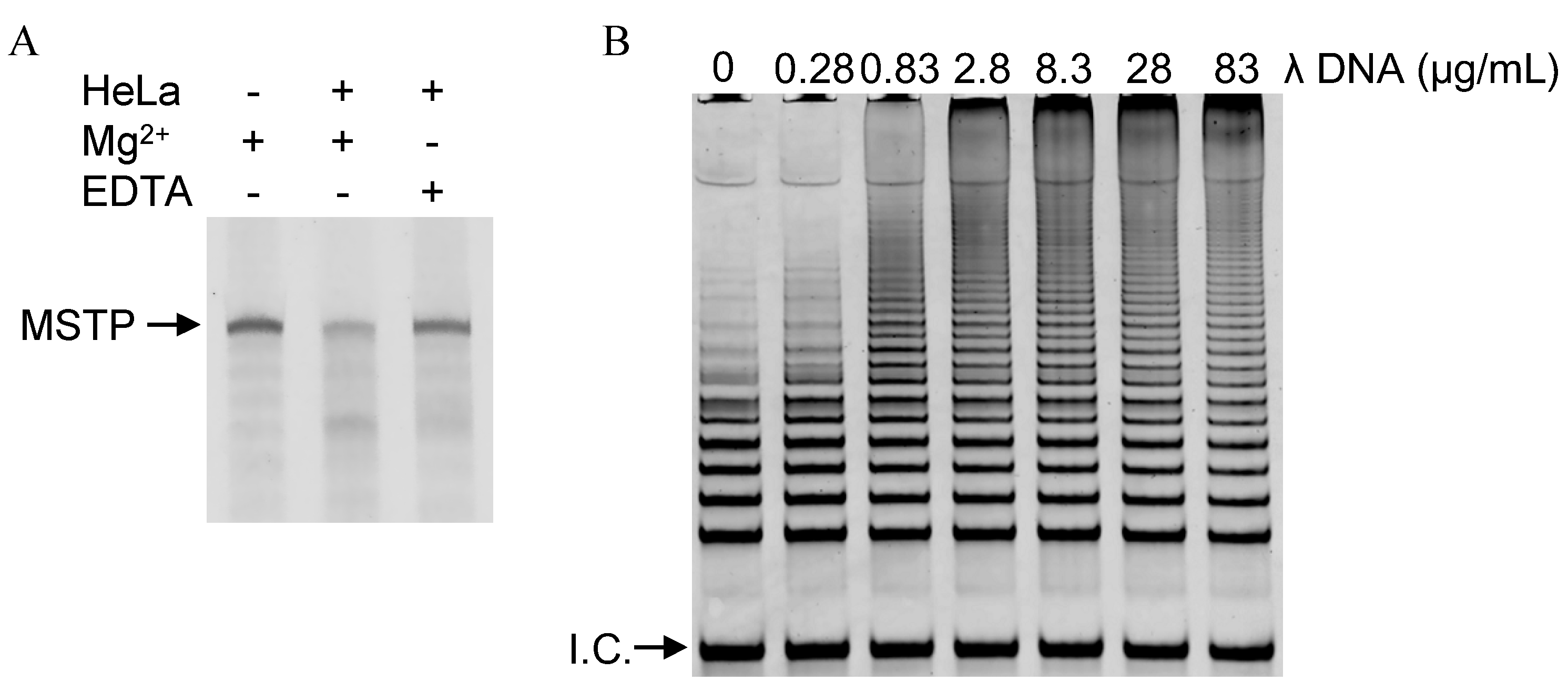 Molecules 18 11751 g004