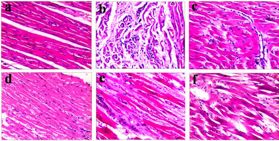 Molecules 18 11842 g006 550