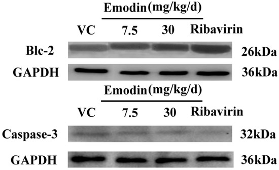 Molecules 18 11842 g007 550