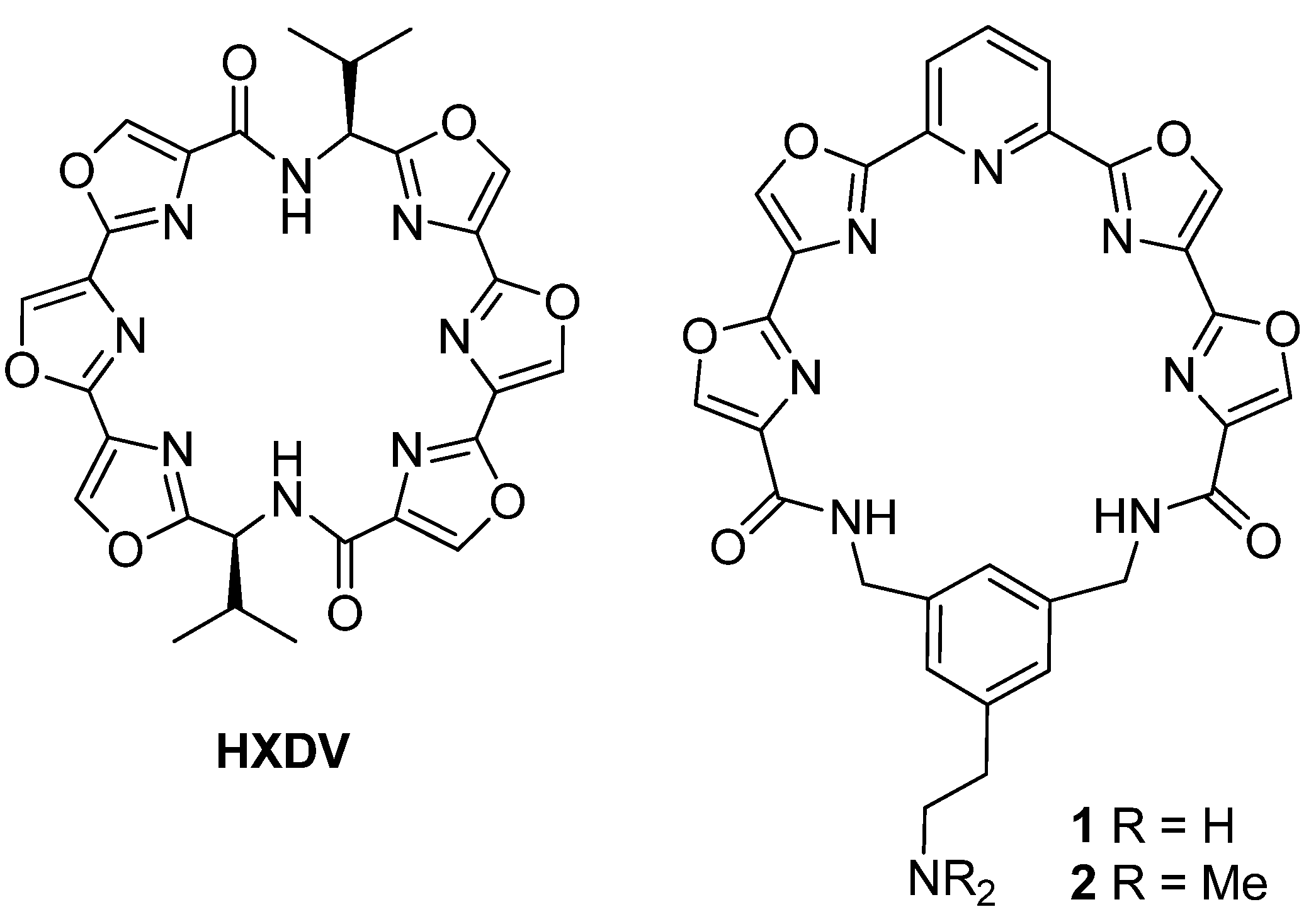 Molecules 18 11938 g001