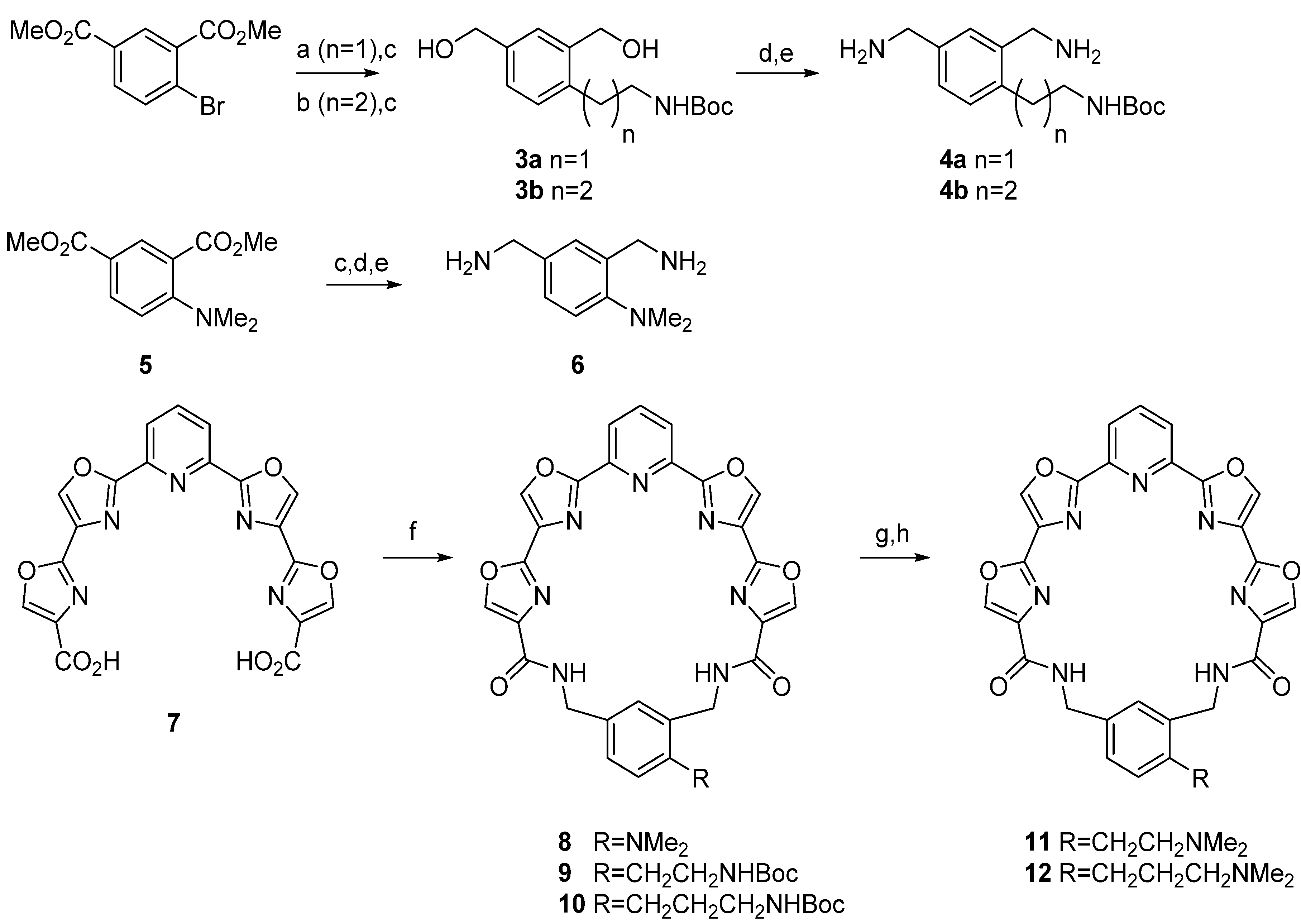 Molecules 18 11938 g002