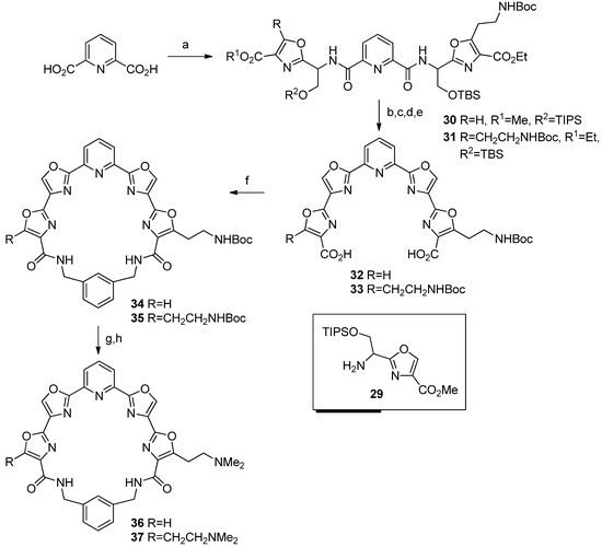 Molecules 18 11938 g005 550