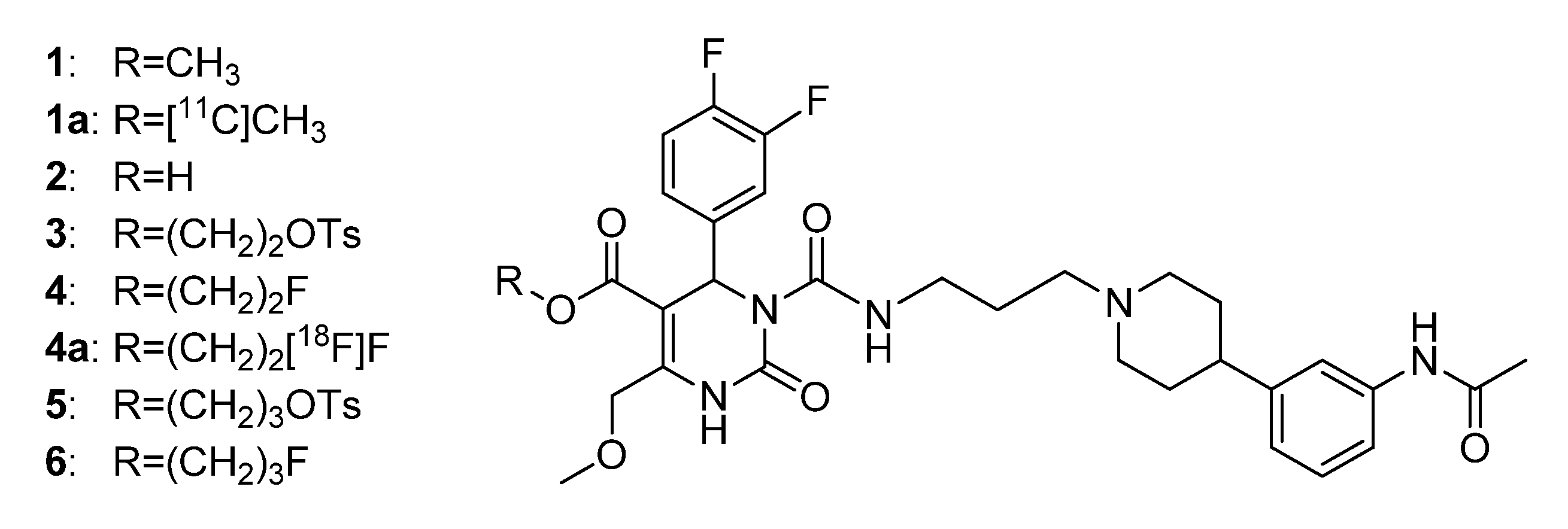 Molecules 18 12119 g001