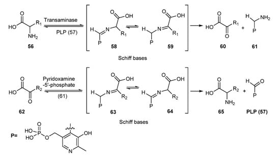Molecules 18 12264 g029 550