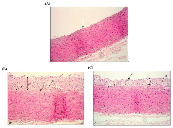 Molecules 18 12548 g002 550