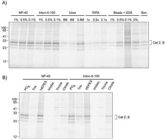 Molecules 18 12599 g004 550