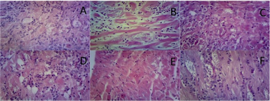 Molecules 18 12621 g006 550