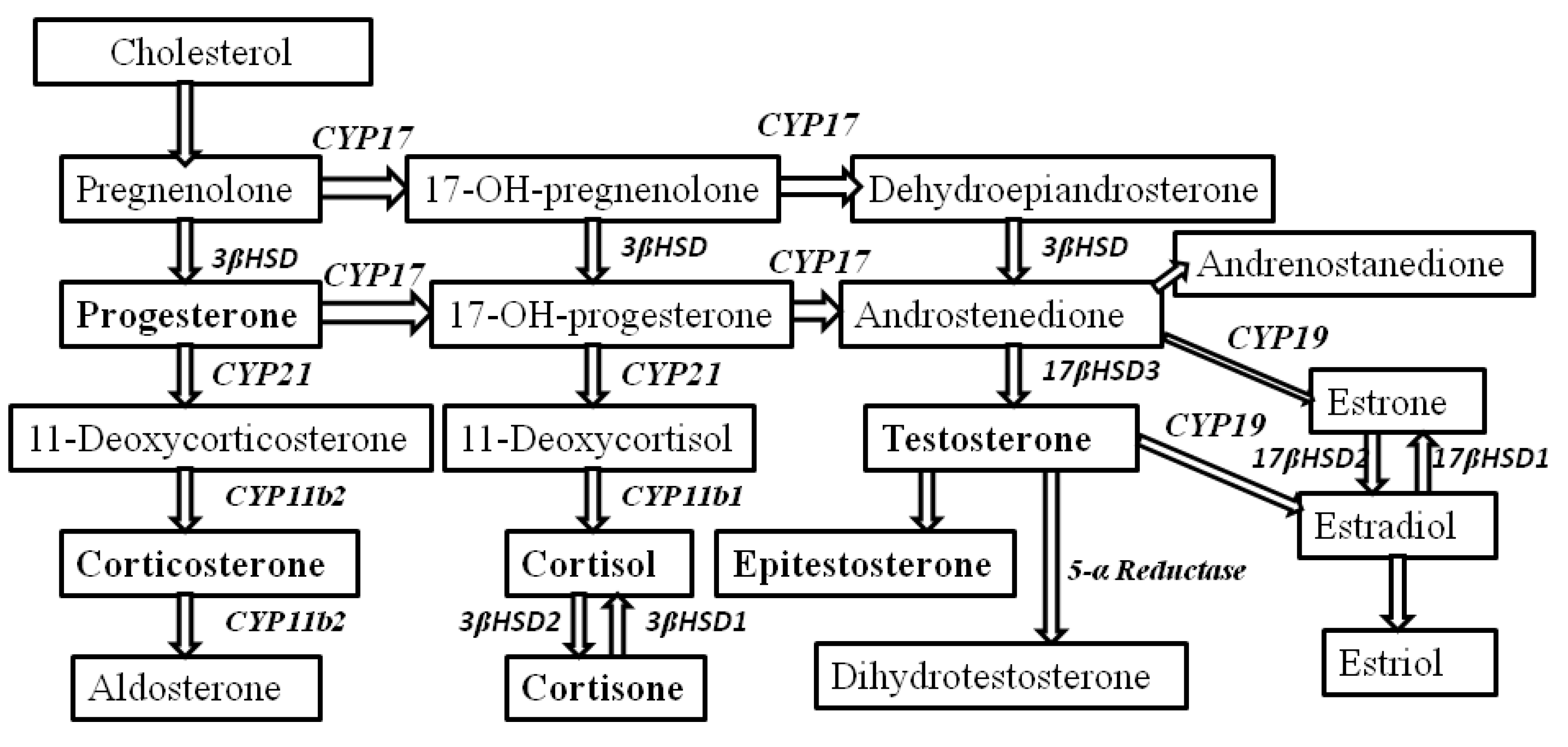Molecules 18 12857 g001
