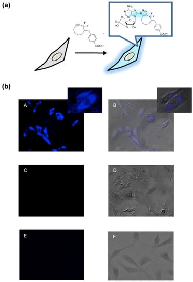 Molecules 18 12909 g002 550