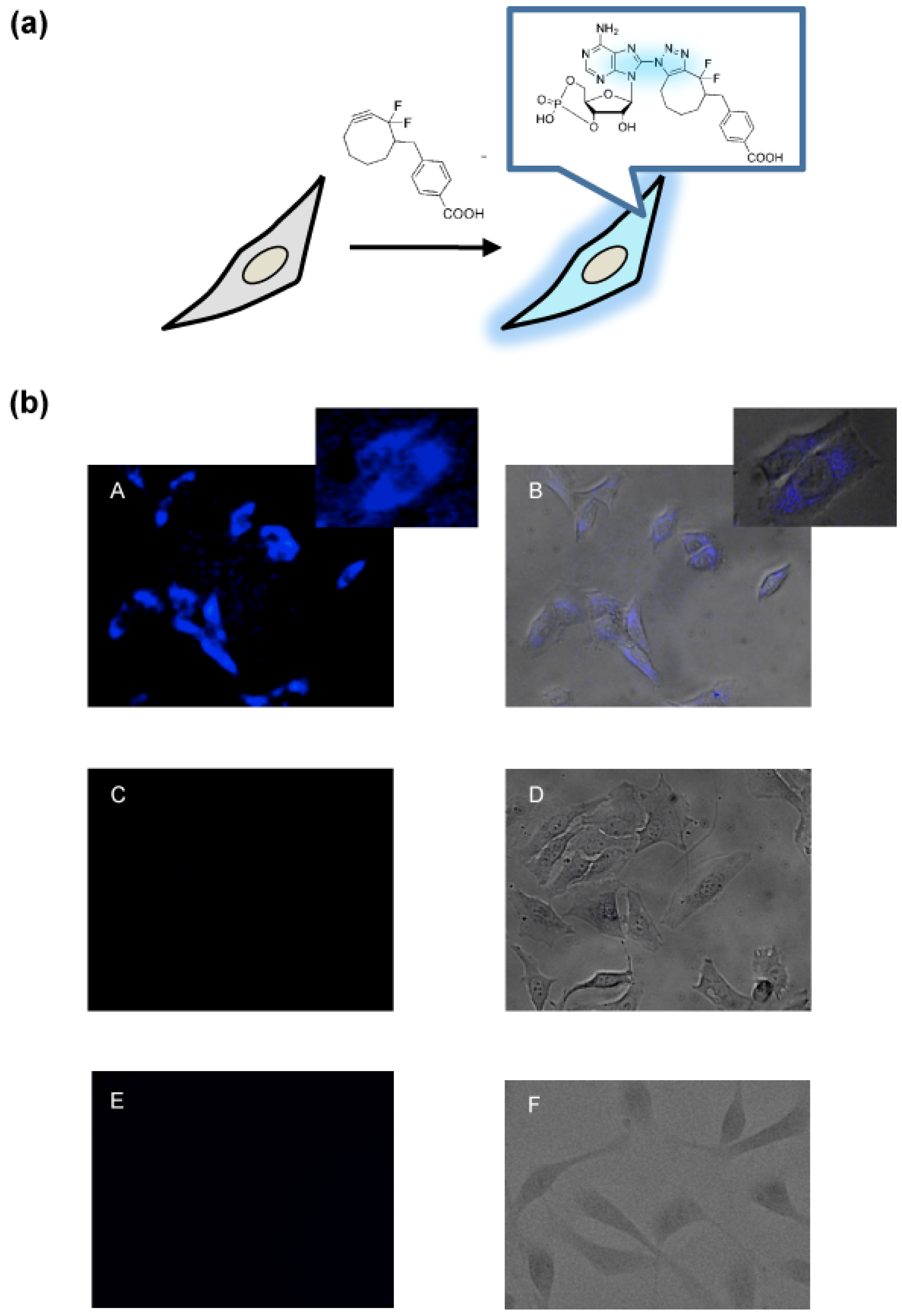 Molecules 18 12909 g002