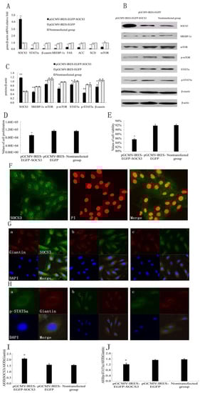 Molecules 18 12987 g001 550