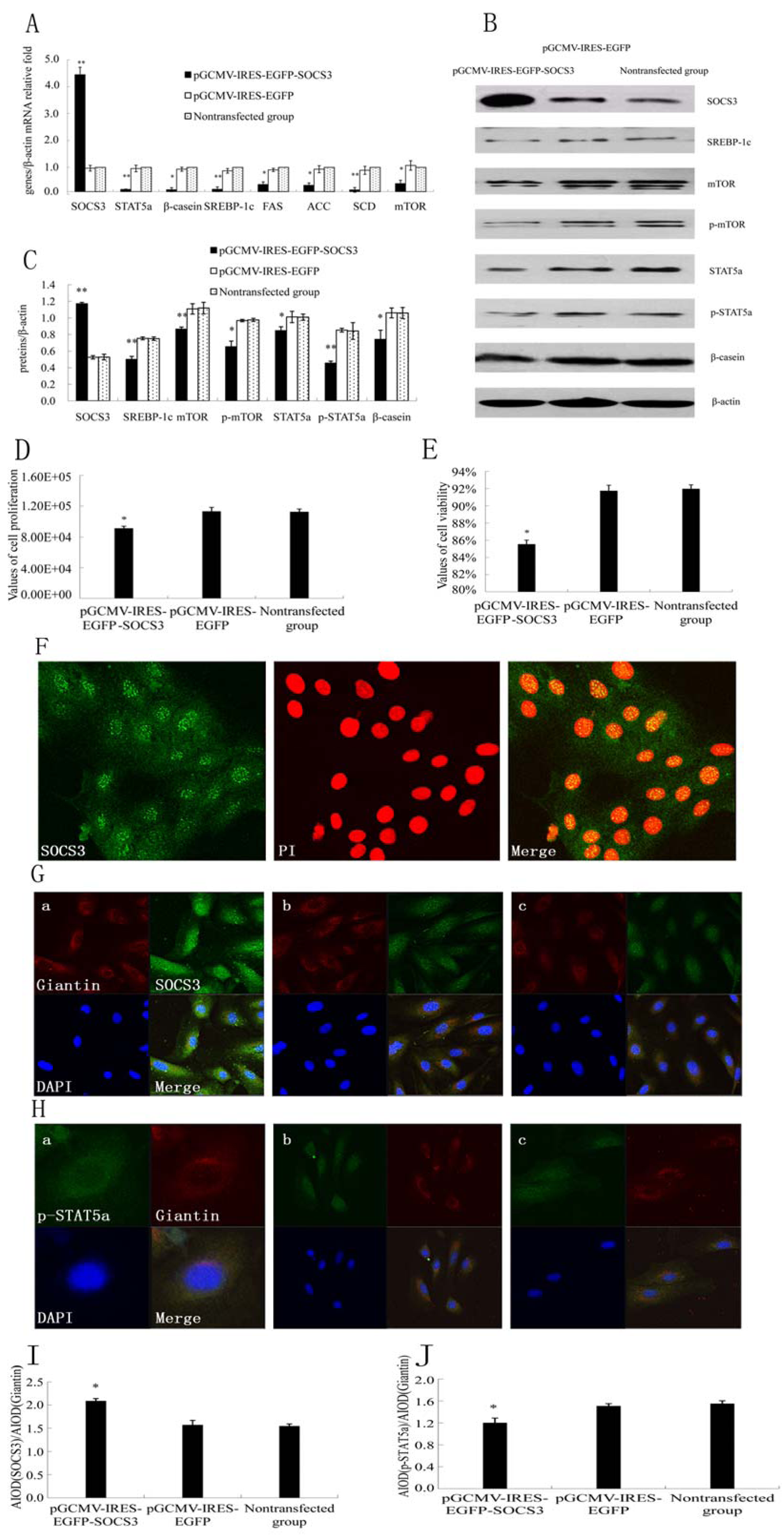 Molecules 18 12987 g001