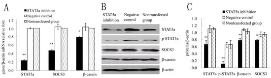 Molecules 18 12987 g003 550