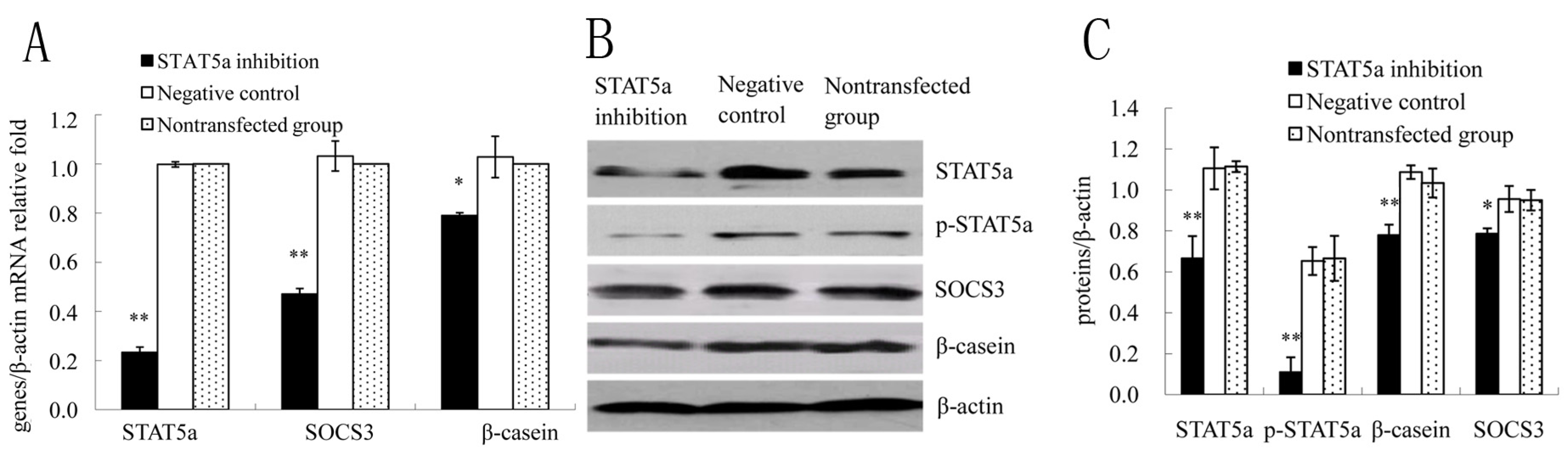 Molecules 18 12987 g003
