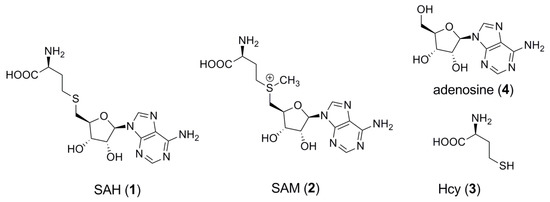 Molecules 18 13020 g001 550