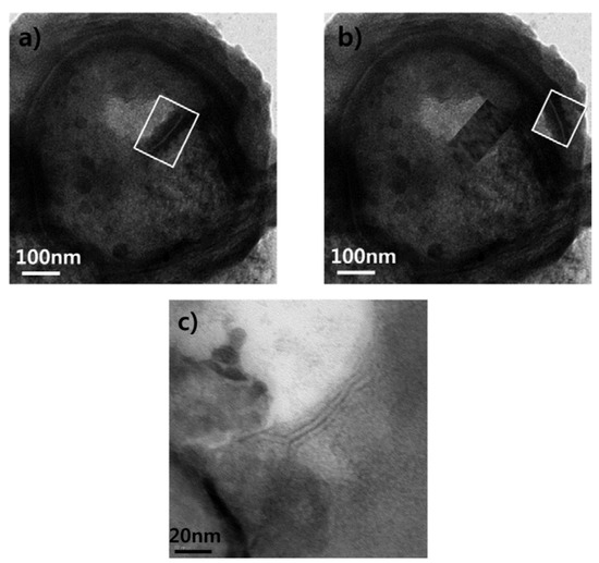Molecules 18 13078 g009 550