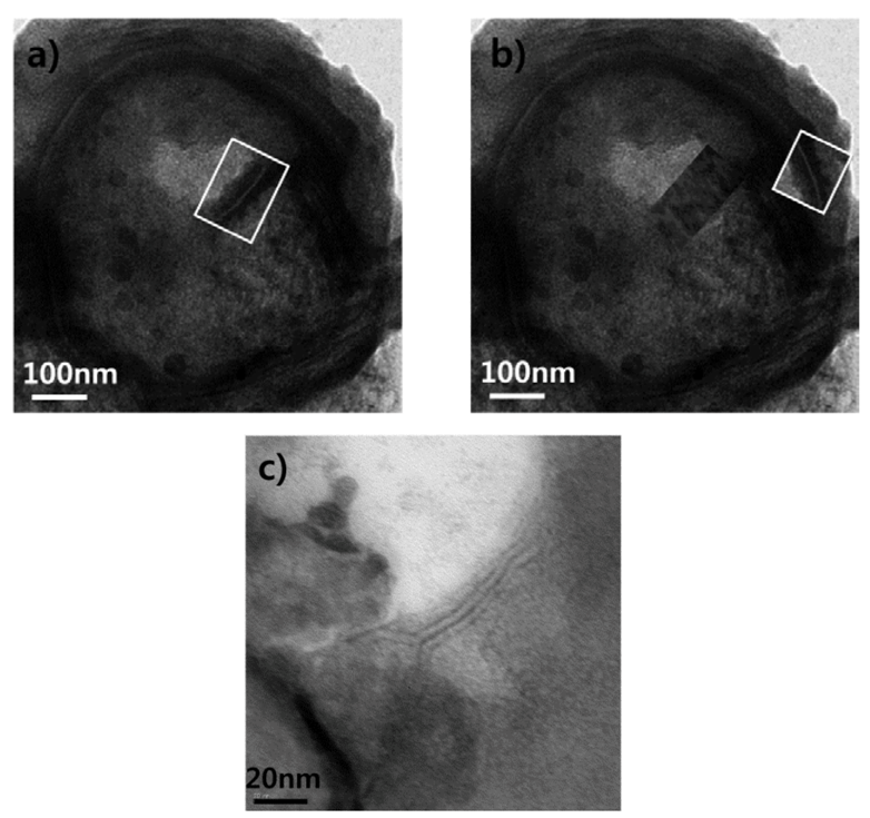 Molecules 18 13078 g009