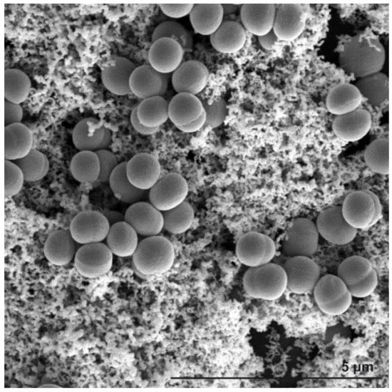 Molecules 18 13188 g001 550