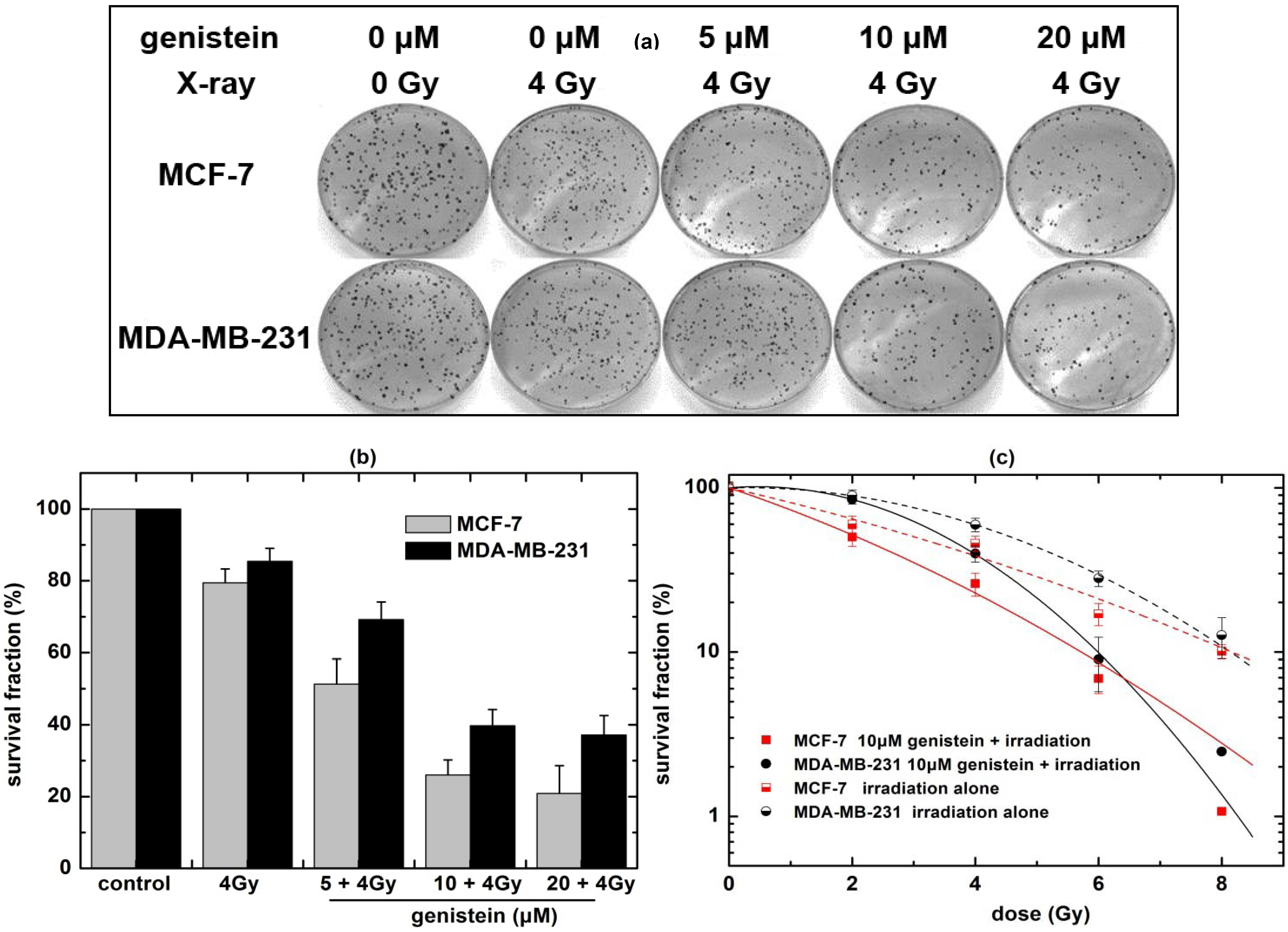 Molecules 18 13200 g003